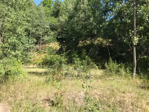 Lots 10&11 S Riverview, Hesperia, MI 49421