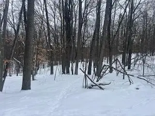 9980 Red Deer, Canadian Lakes, MI 49346