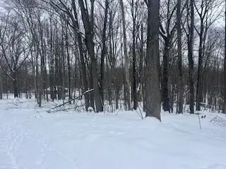 9980 Red Deer, Canadian Lakes, MI 49346 - #3