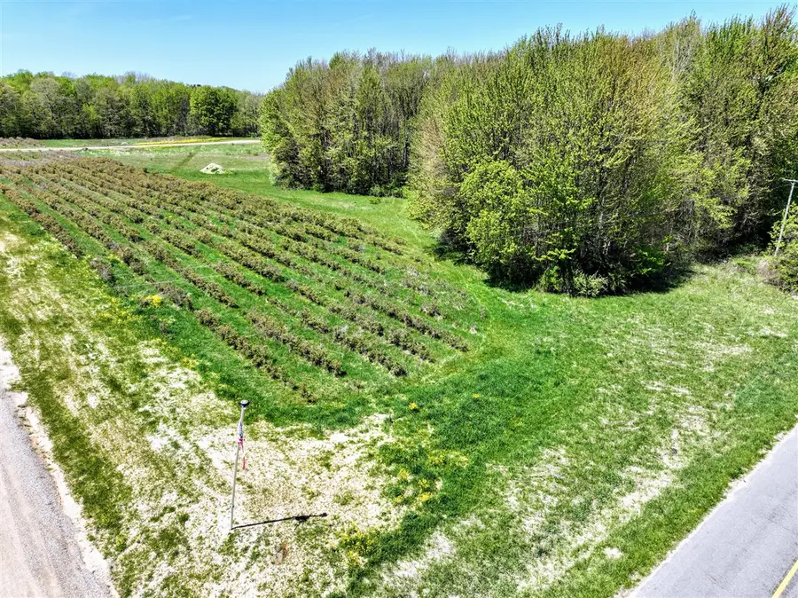 59070 Benny Ct, Grand Junction, MI 49056 - #2