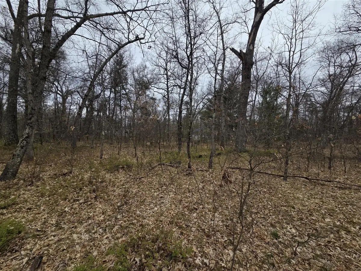 V/L S Harvard Ave., Baldwin, MI 49304 - #1
