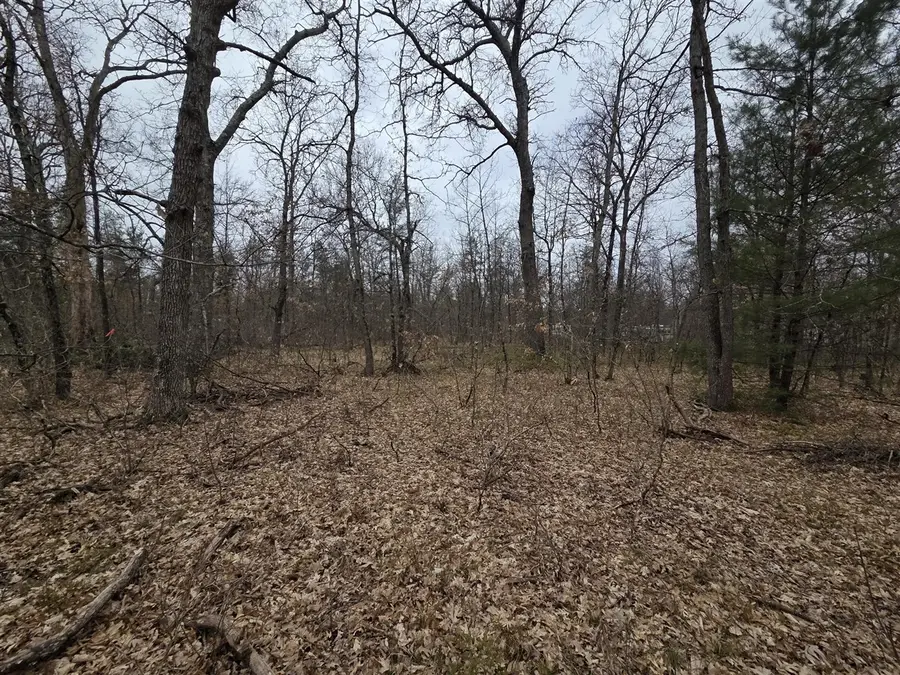 V/L S Harvard Ave., Baldwin, MI 49304 - #2