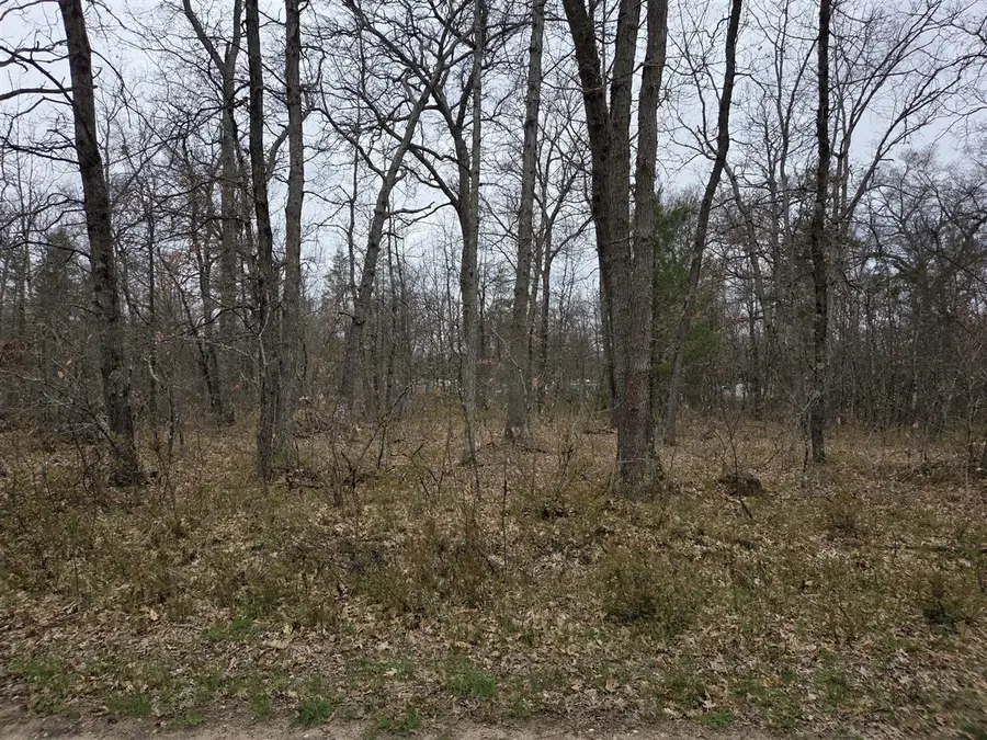 V/L S Harvard Ave., Baldwin, MI 49304 - #3