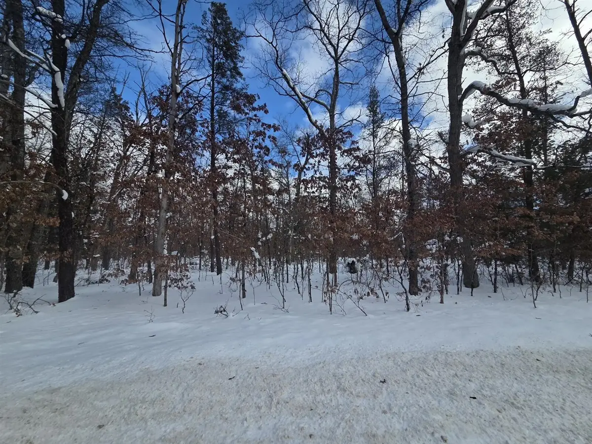 V/L S Astor Rd., Baldwin, MI 49304 - #1