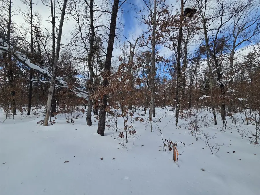 V/L S Astor Rd., Baldwin, MI 49304 - #2