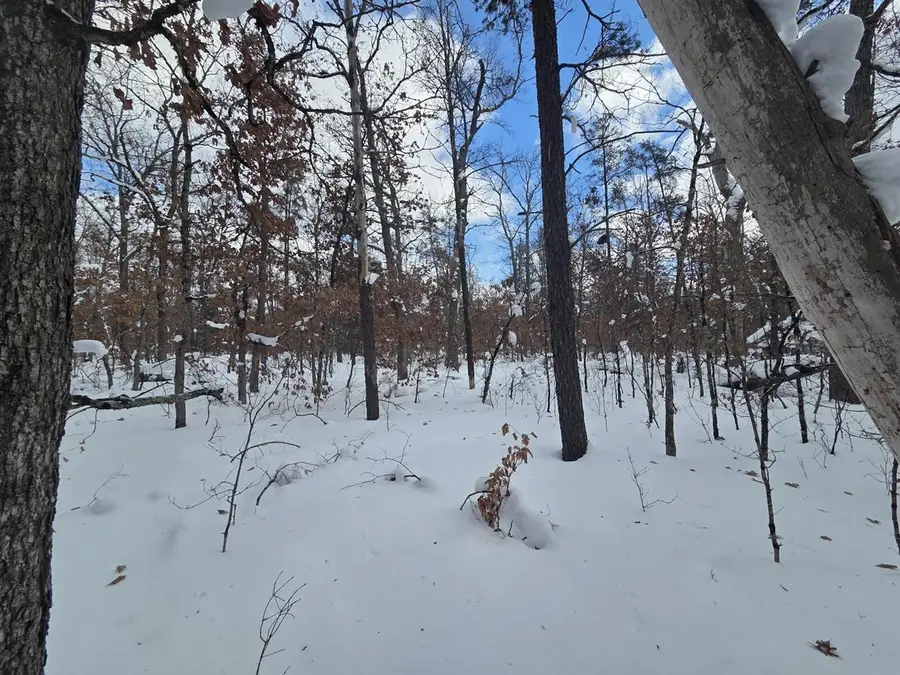 V/L S Astor Rd., Baldwin, MI 49304 - #3