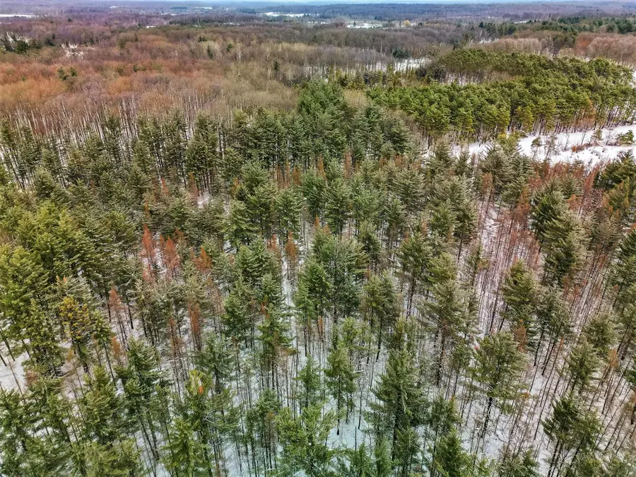 VL 17 Mile, Leroy, MI 49655 - #3