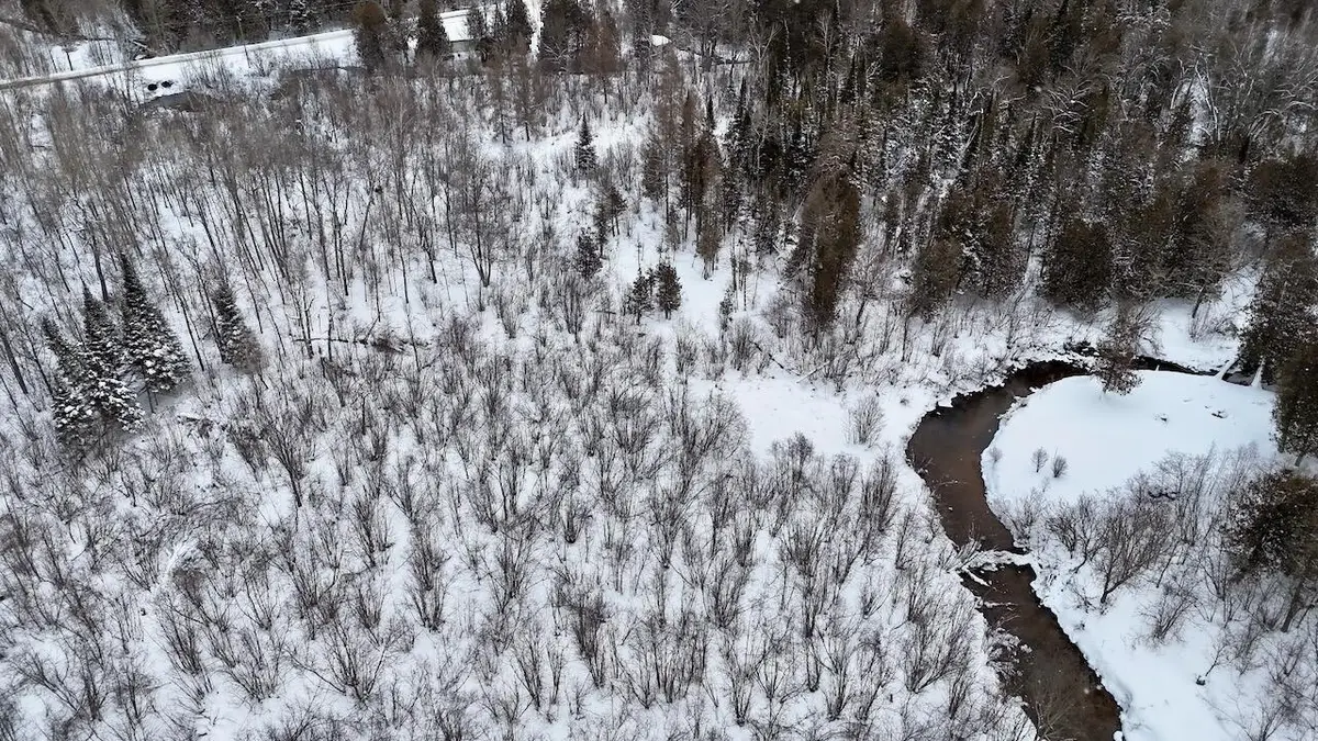 22361 9 Mile, Reed City, MI 49677 - #1