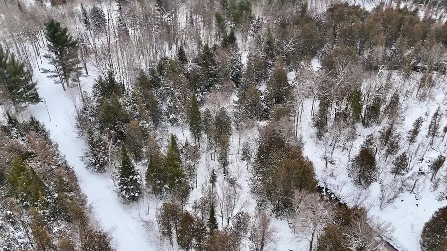 22361 9 Mile, Reed City, MI 49677 - #2