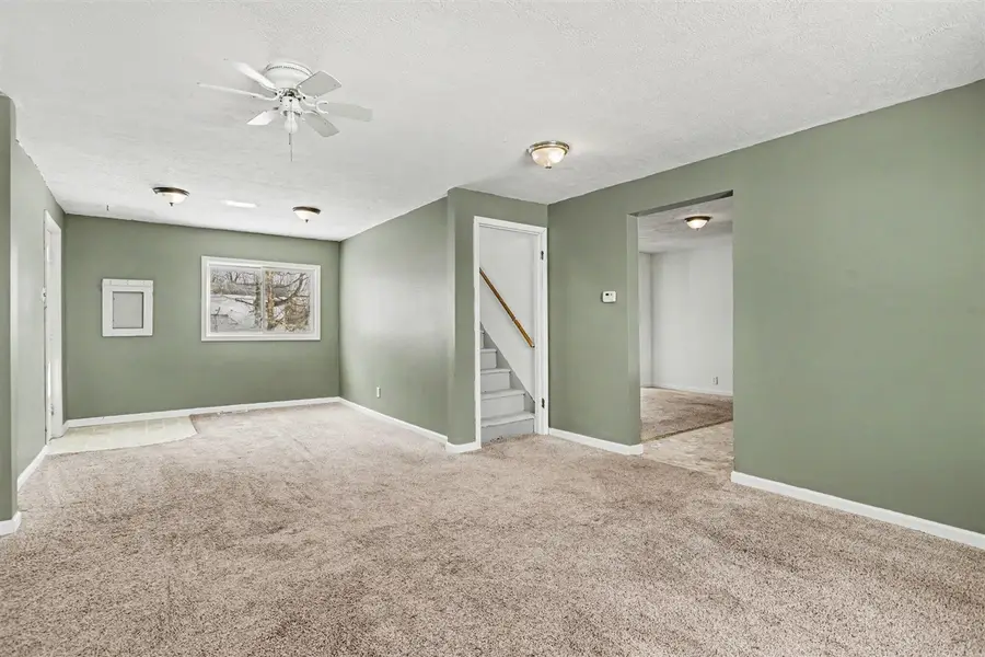 224 E Francis, Nashville, MI 49073 - #3