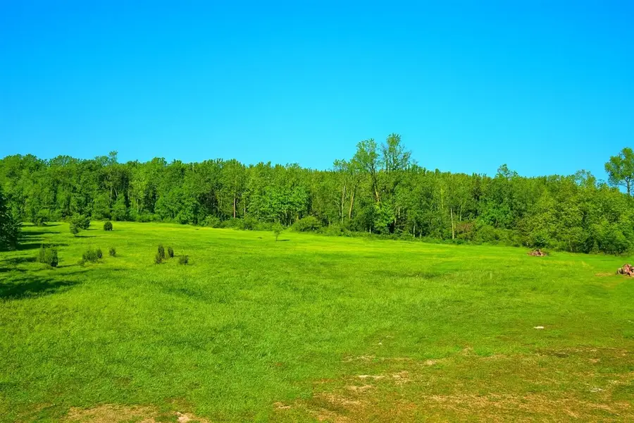 Lot D Ewing, Lawton, MI 49065 - #3