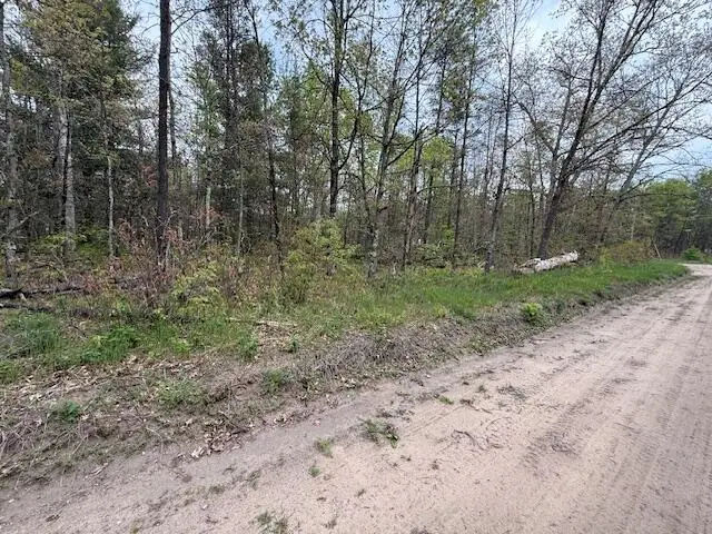 VL Mt. Vernon, Idlewild, MI 49642 - #2