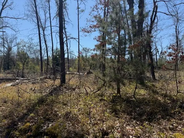VL Prarie, Idlewild, MI 49642 - #1