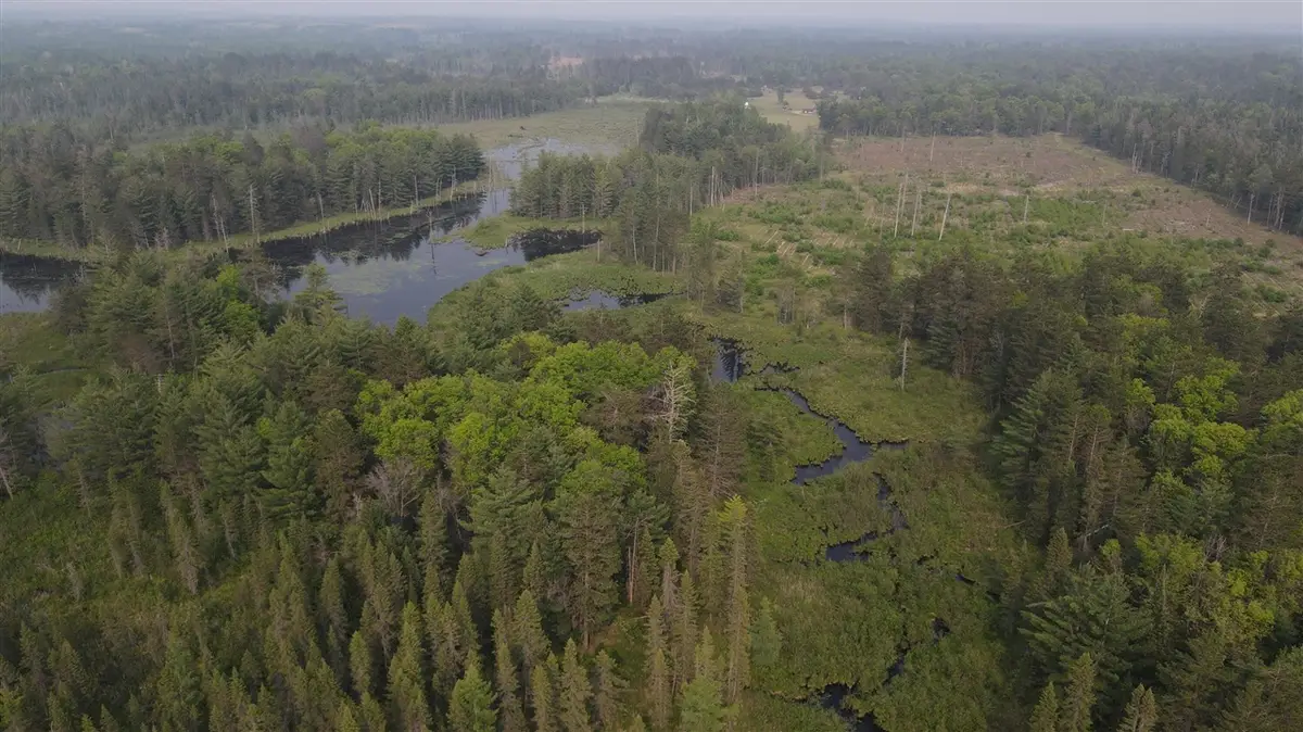 Parcel B Cherry Creek Trail, Grayling, MI 49738 - #1