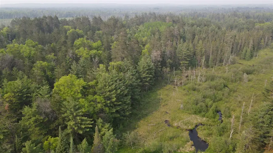 Parcel B Cherry Creek Trail, Grayling, MI 49738 - #3