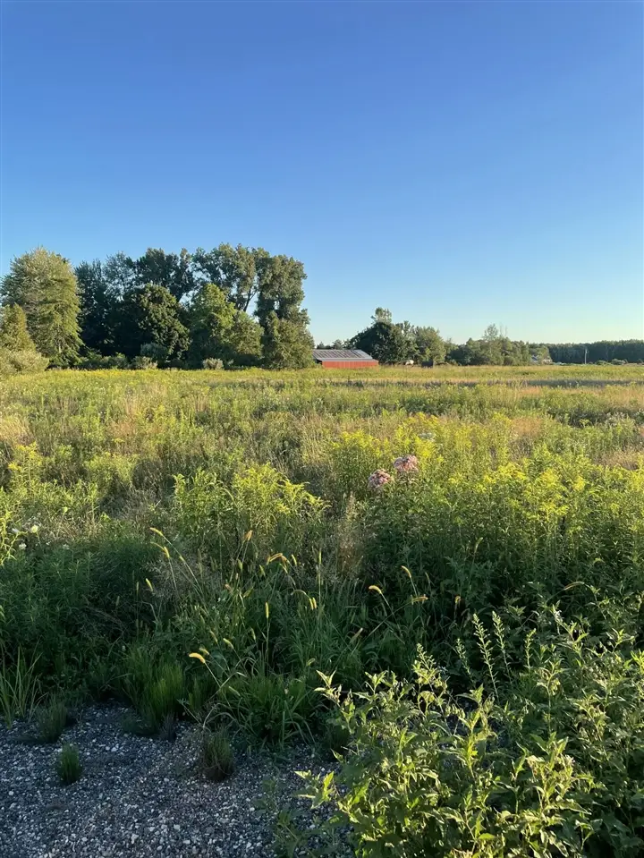 6441 S Sullivan, Nunica, MI 49448 - #3