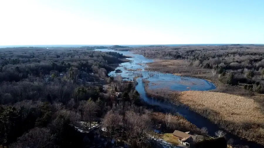 1291 N Jebavy, Ludington, MI 49431 - #2