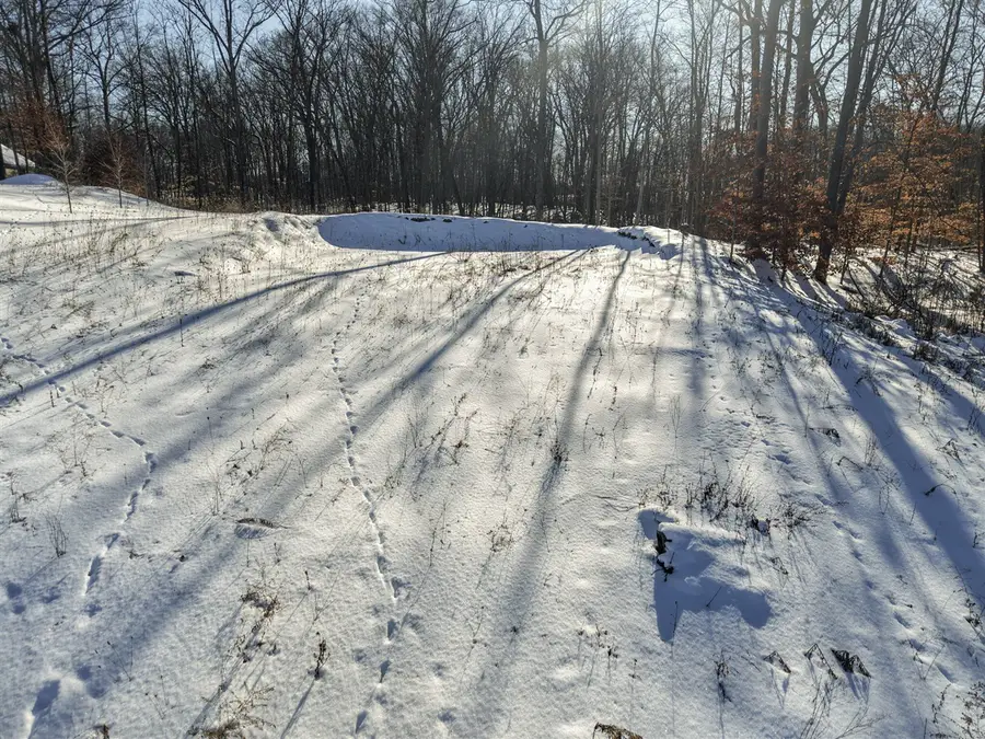 V/L Lilac Lane, Sheridan, MI 48884 - #3