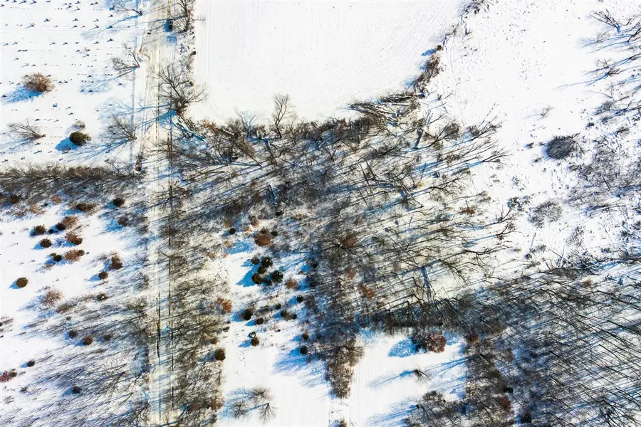 VL Cemetery, Cassopolis, MI 49031 - #2