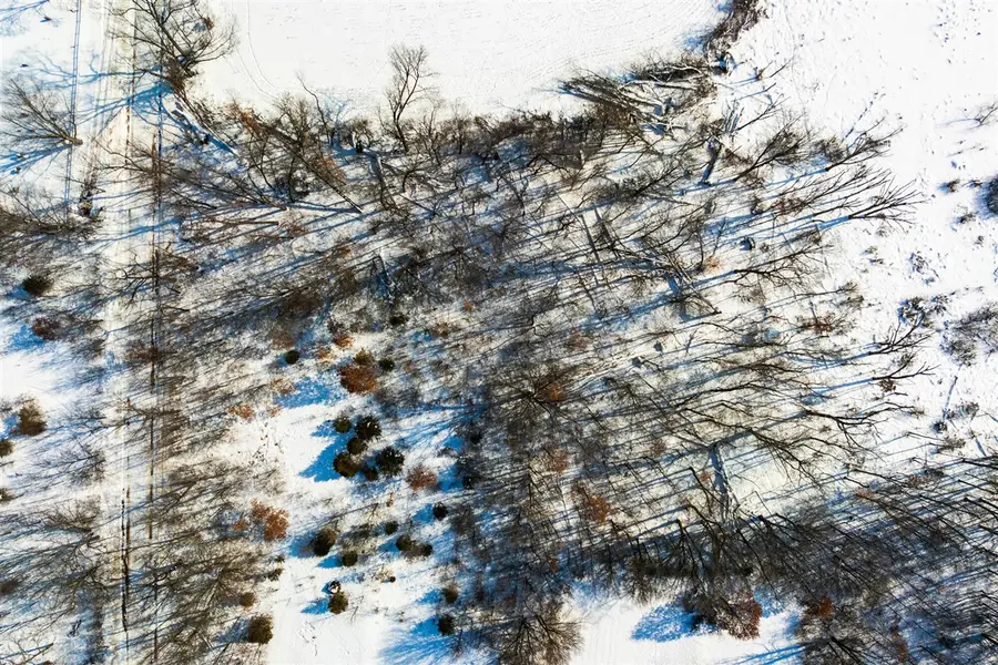 VL Cemetery, Cassopolis, MI 49031 - #3