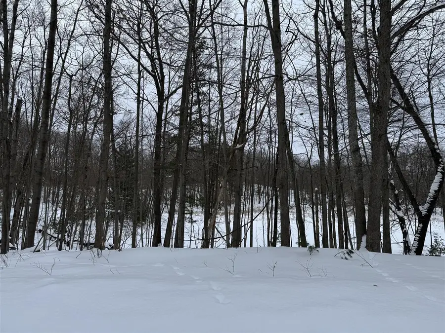 10953 Shawnee, Stanwood, MI 49346 - #2