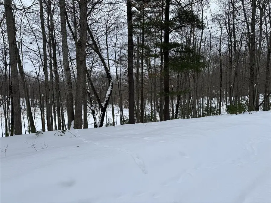 10953 Shawnee, Stanwood, MI 49346 - #3