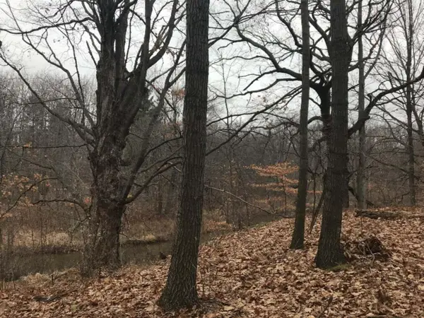 12923 Riverview, Gowen, MI 49326