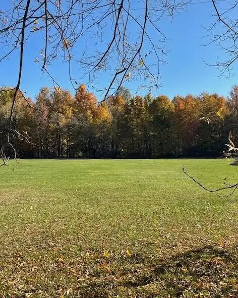 V/L Cr 215, Lawrence, MI 49064