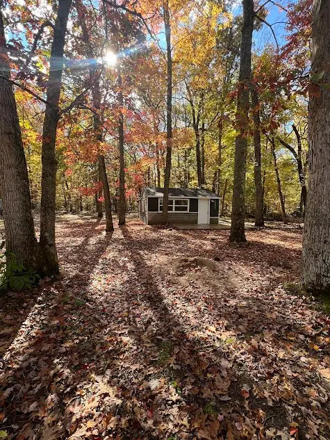 17323 Marian, Wellston, MI 49689