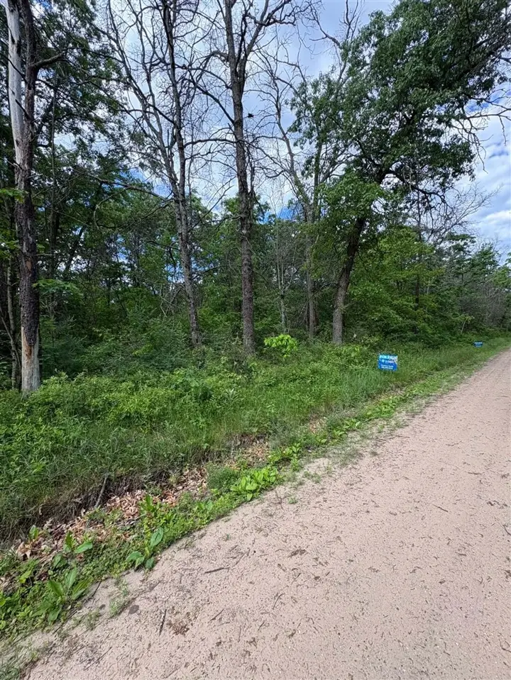 V/L E Lynndon, Idlewild, MI 49642 - #1