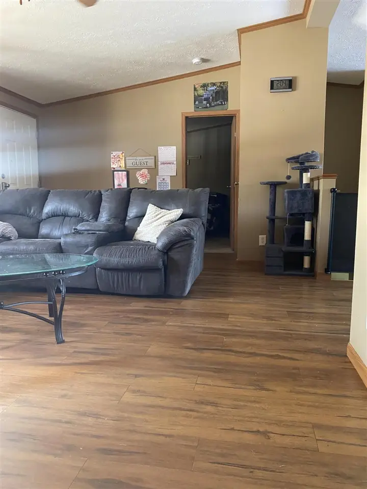 9026 W Coleman, Lake, MI 48632 - #2