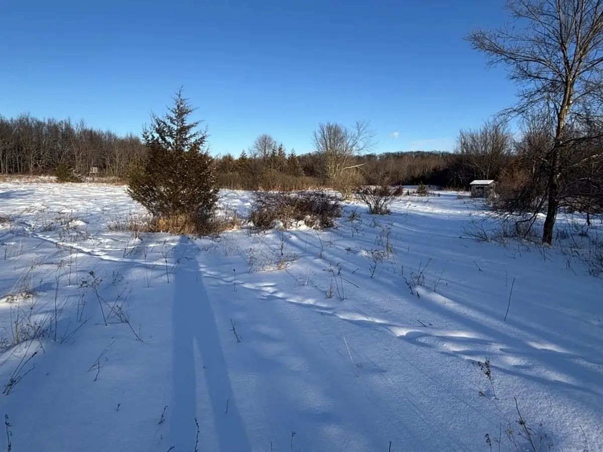 6711 S Tripp, Osseo, MI 49266 - #1