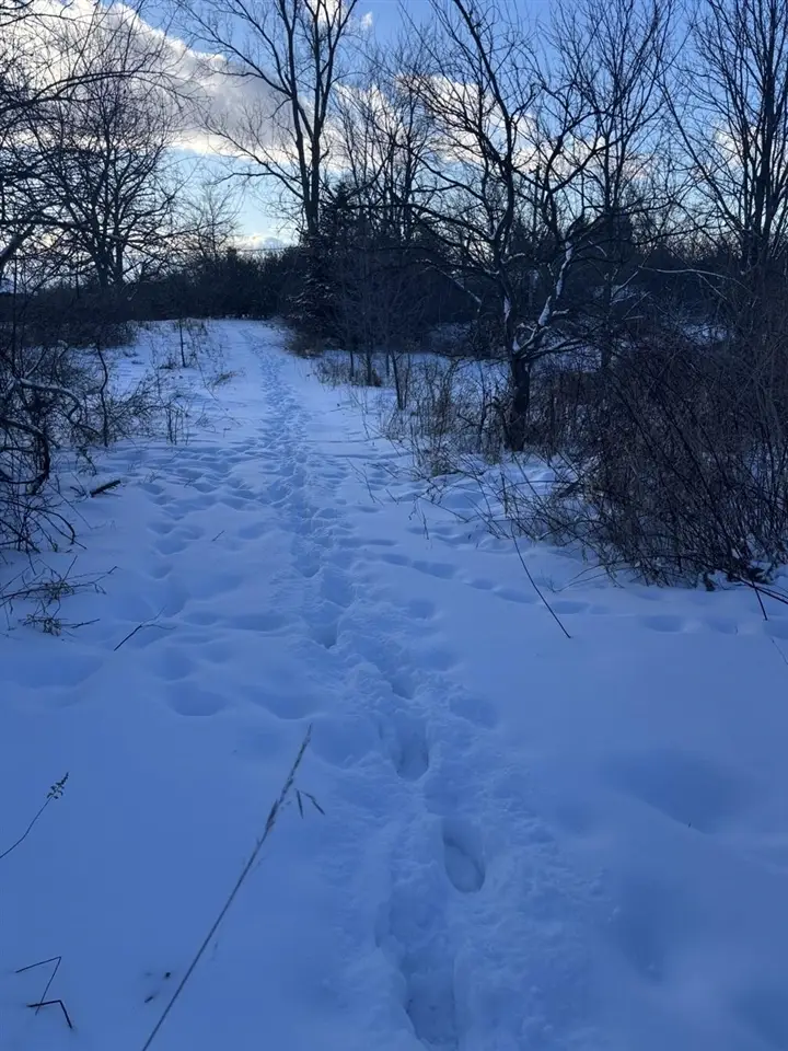 6711 S Tripp, Osseo, MI 49266 - #3