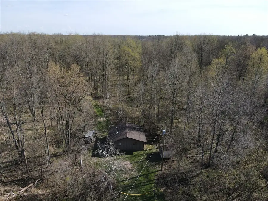 6095 E M 20, Hesperia, MI 49421 - #2