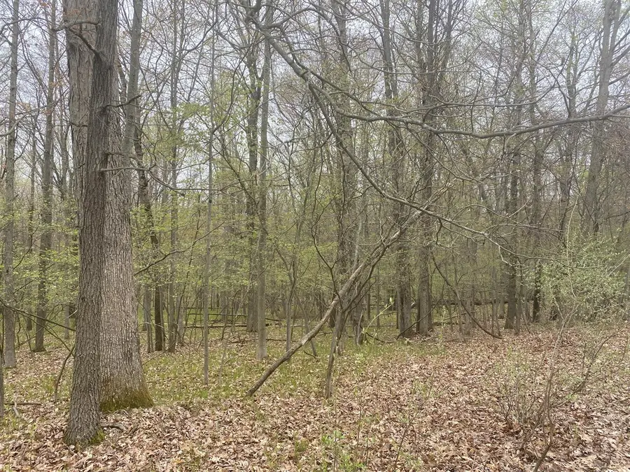 12075 Halifax, Stanwood, MI 49346 - #2