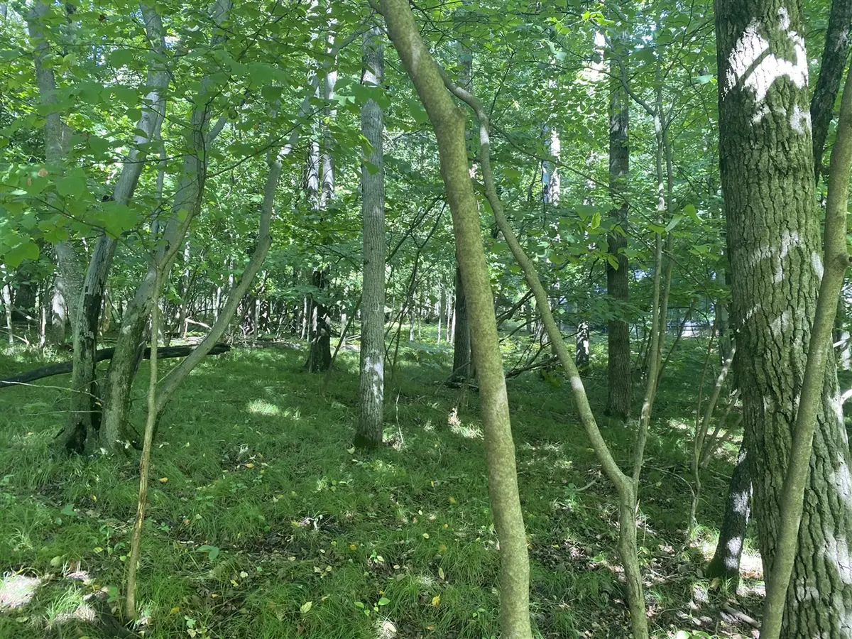 12100 Belle Isle, Stanwood, MI 49346 - #1