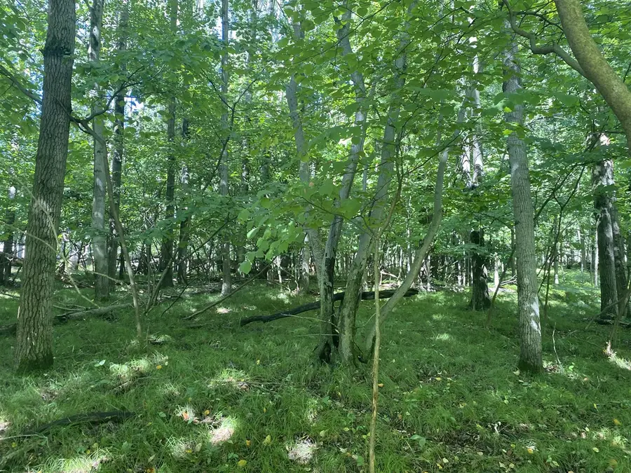 12100 Belle Isle, Stanwood, MI 49346 - #2