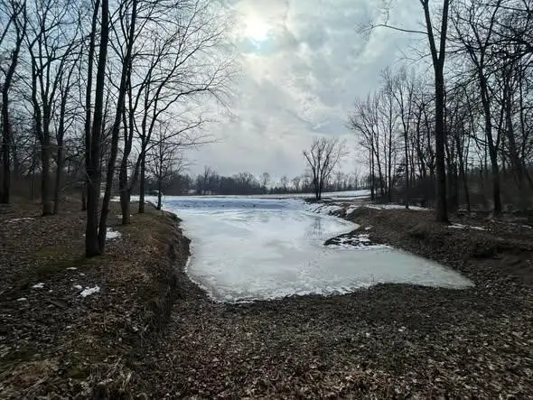 5018 S Rumsey, Pittsford, MI 49271