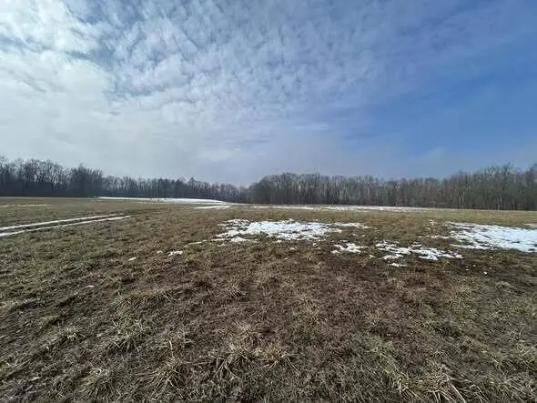 5018 S Rumsey, Pittsford, MI 49271 - #3