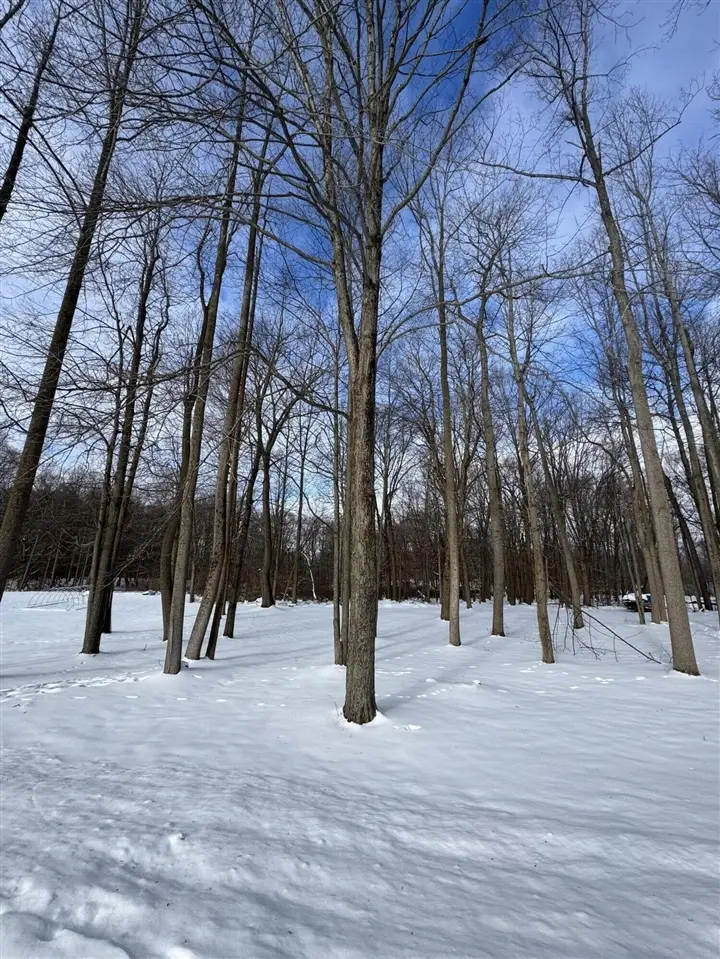 V/L Timberlane, Jones, MI 49061 - #2