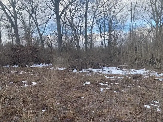 2963 Detroit, Niles, MI 49120 - #2