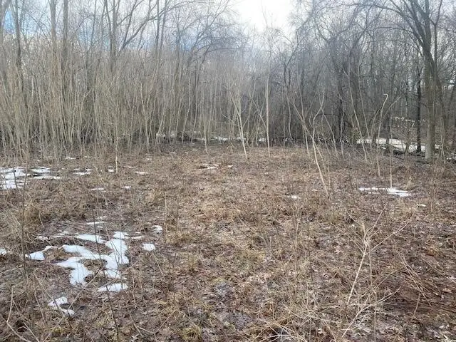 2963 Detroit, Niles, MI 49120 - #3