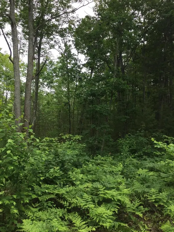 Dodge Lk, Gaylord, MI 49735