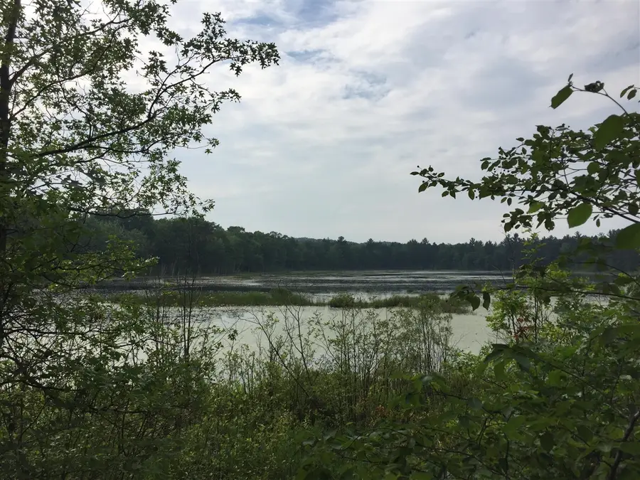 Dodge Lk, Gaylord, MI 49735 - #2