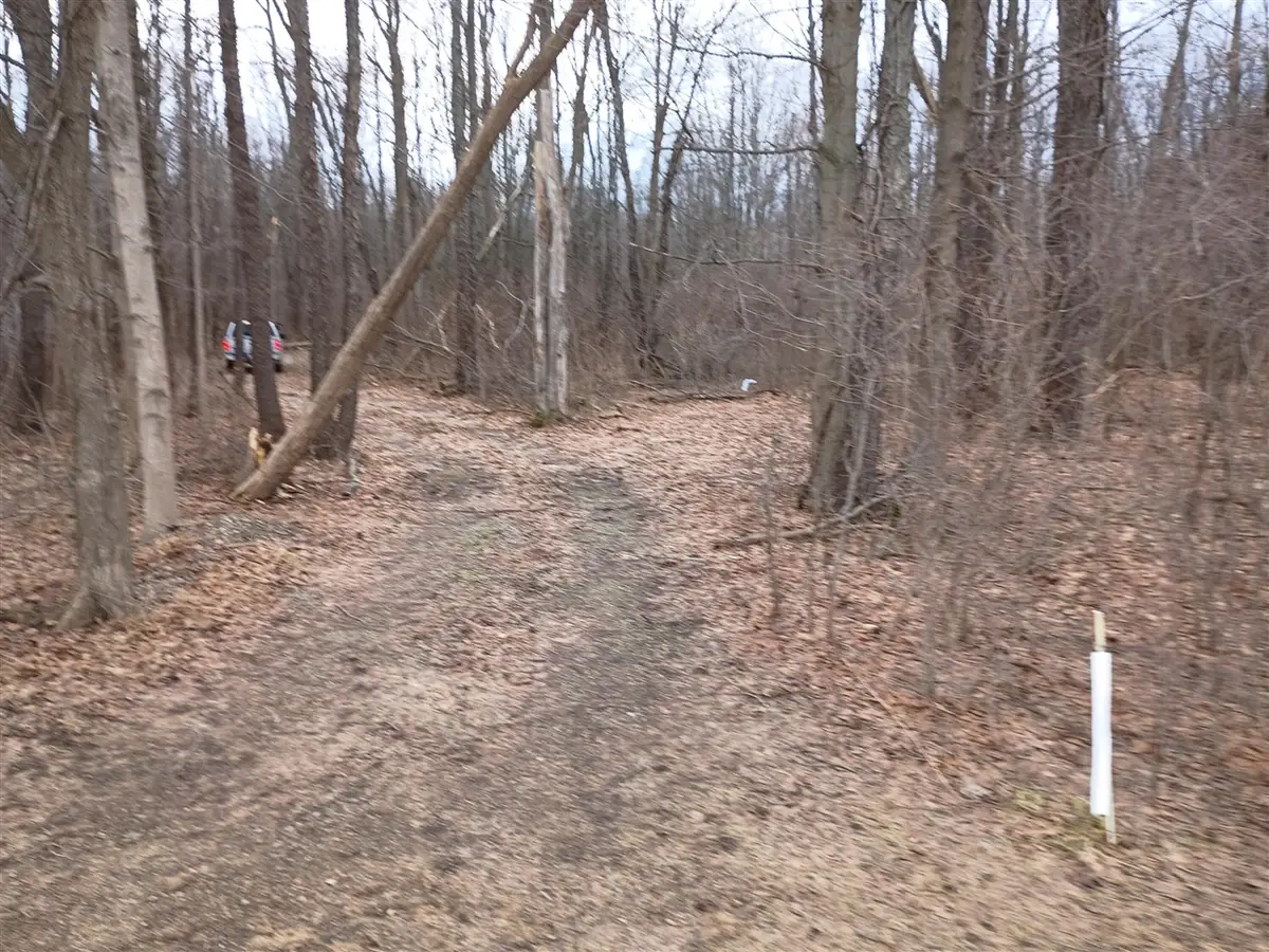 V/L 52nd, Bangor, MI 49013 - #1