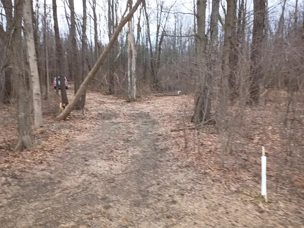 V/L 52nd, Bangor, MI 49013