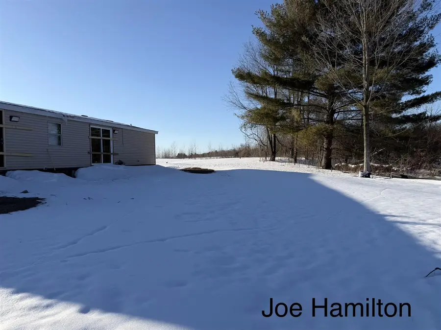 15734 Hall, Bailey, MI 49303 - #2