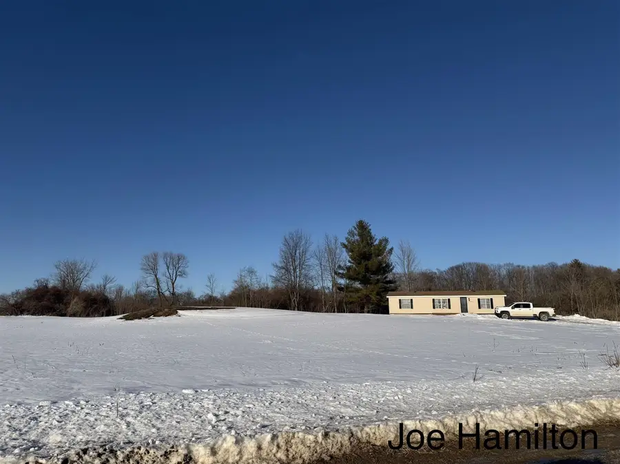 15734 Hall, Bailey, MI 49303 - #3