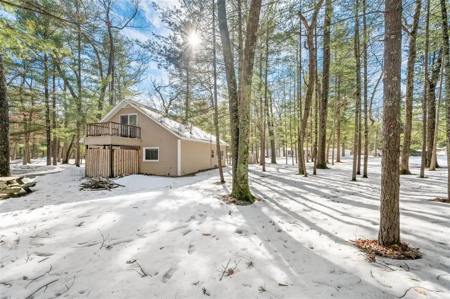 13518 S Star Lake, Baldwin, MI 49304 - #2