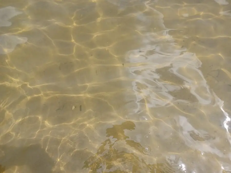 6812 Lake, Hastings, MI 49058 - #2